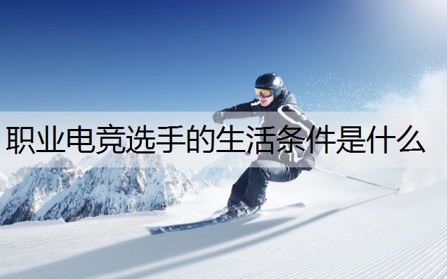 职业电竞选手的生活条件是什么