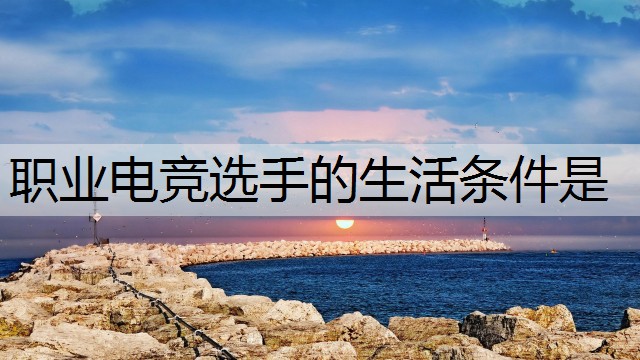 职业电竞选手的生活条件是