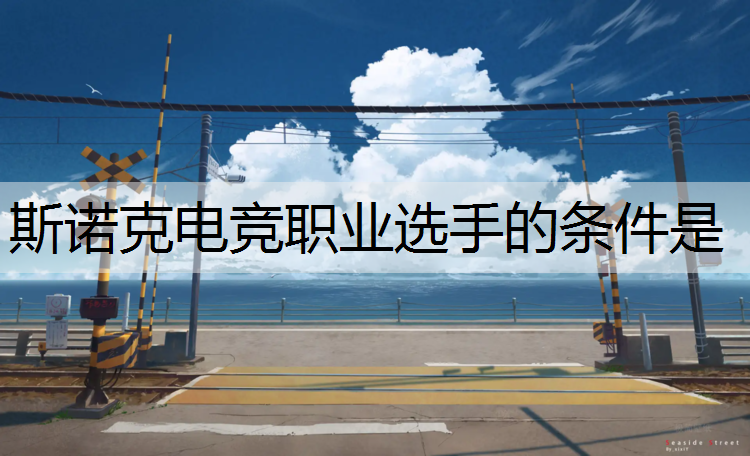 斯诺克电竞职业选手的条件是