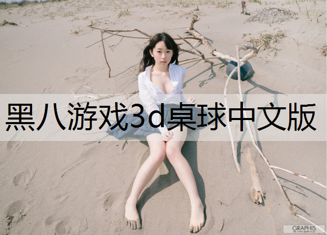 黑八游戏3d桌球中文版