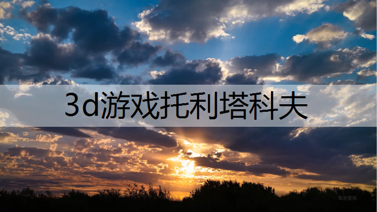 3d游戏托利塔科夫